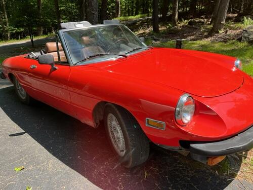 Franknap Frank Napoli